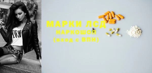 амф Каменногорск