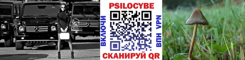 Галлюциногенные грибы MAGIC MUSHROOMS  Купить где  Бердск 